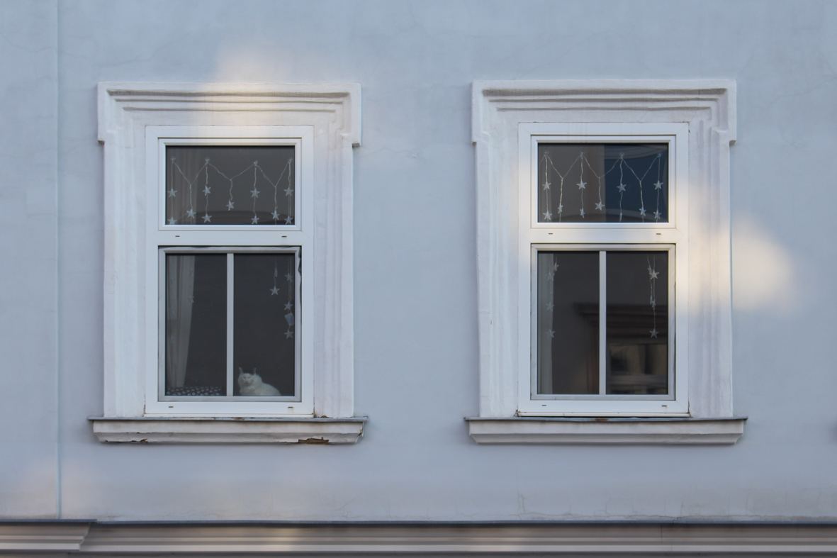 nschaufensterbummel