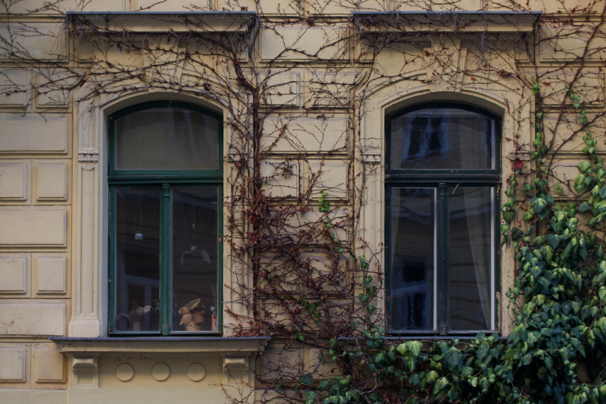 nschaufensterbummel