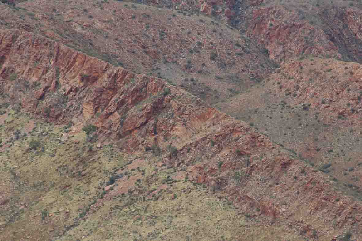 larapinta