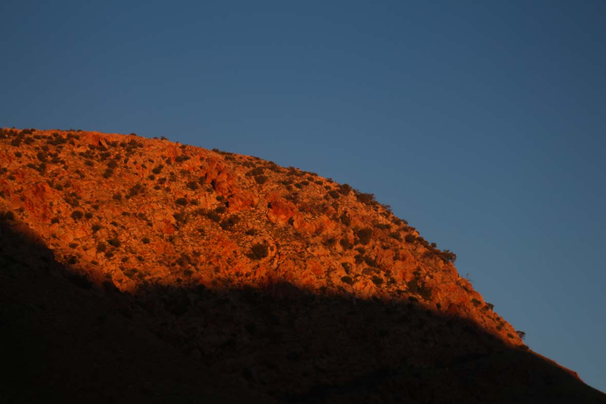 larapinta